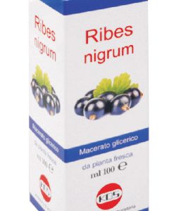 KOS - Macerato glicerico ribes nigrum 100ml