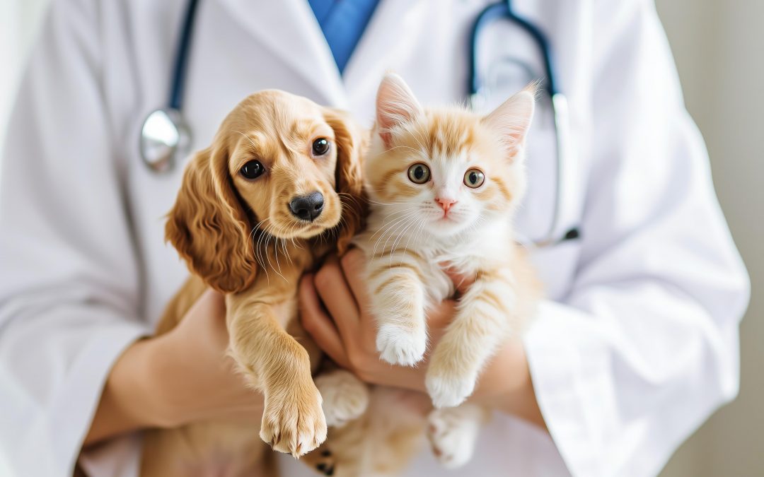 Veterinaria