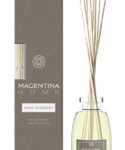 Erboristeria magentina - radici di zenzero diffusore ambiente 100ml