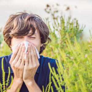 Allergie