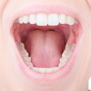 Ossa e denti